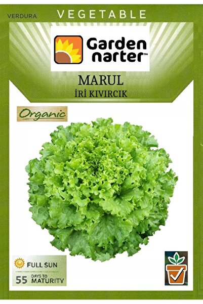 GARDEN NARTER İri Kıvırcık Marul Tohumu Doğal Organik Marul Tohumu Pakette 5 ...