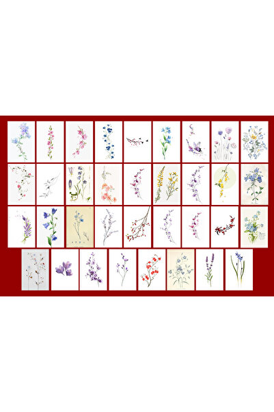 TELLGRAF مجموعة بطاقات بريدية تحت عنوان الزهور (10x15 سم 27 قطعة)