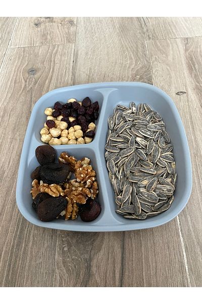 HOLLYHOME 1 Piece 3 Compartment Plastic Breakfast Plate - Picnic Camping Cookie Food Serving Plate Table