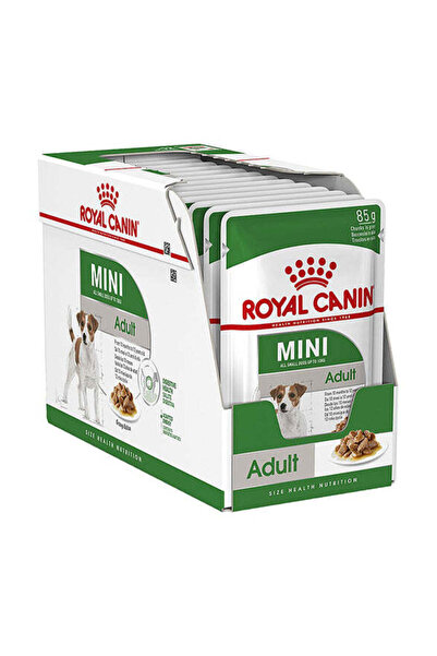Royal Canin Mini Yetişkin Islak Köpek Maması 12x85g