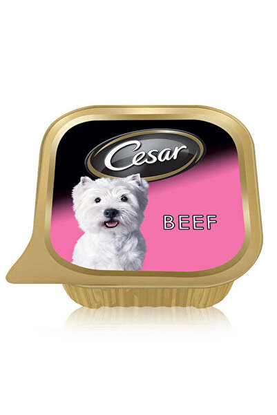 CESAR طعام الكلاب الرطب باللحم البقري - 100 جرام