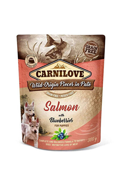 Carnilove Salmon with Blueberries for Puppies Wet Food - 300G