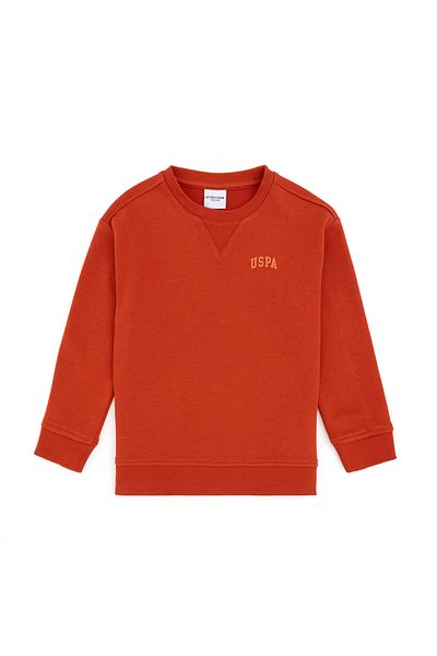 U.S. Polo Assn. Boys' Tile Basic Crew Neck Sweatshirt 50295151 -Vr031