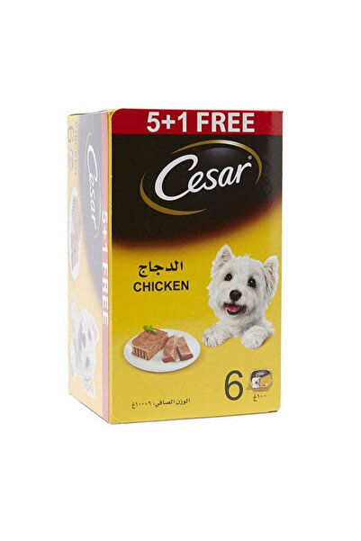 CESAR عبوة ترويجية من طعام الكلاب الرطب 5+1 مجانًا من Chicken - 6X100 جرام