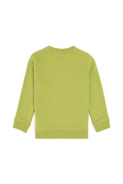 U.S. Polo Assn. Boy's Peanut Green Basic Crew Neck Sweatshirt 50295151 -Vr087