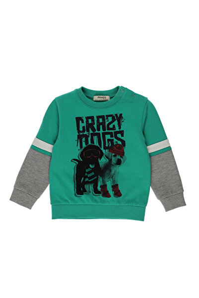 Panço Erkek Bebek Blok Renk Şeritli Baskı Detaylı Yeşil Sweatshirt