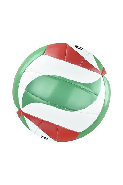 MOLTEN V5m2500 Volleyball Ball White