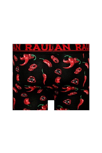 İNKO İÇ GİYİM Men's Patterned Cotton Boxers