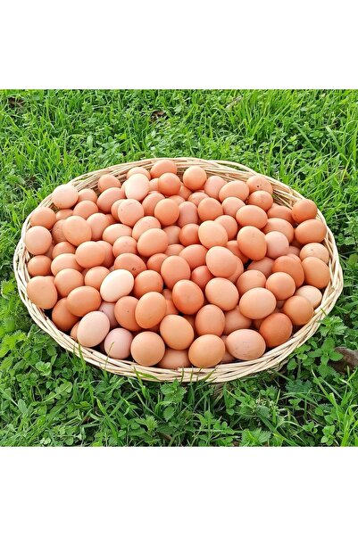 yöresel Doğal Gezen Köy Yumurtası 30 Adet