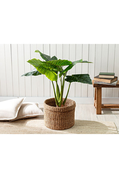 Madame Coco Basilie Medium Wicker Basket