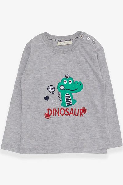 Breeze Baby Boy Long Sleeve T-Shirt with Dinosaur Embroidery, 9 Months-3 Years, Gray Melange