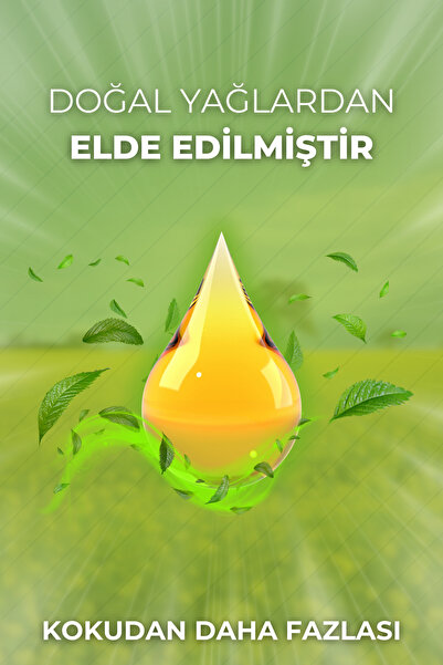 AURAN Favori Set Esansiyel Uçucu Yağ Buhurdanlık Yağı Hava Nemlendirici Aroma Difüzörü Kokusu Esans 6x