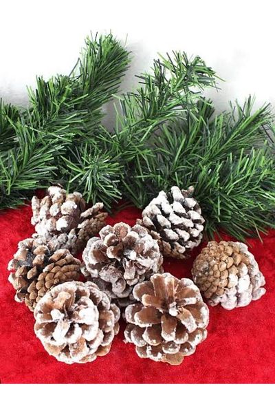 Deniz Party Store New Year's Natural Snowy Cone Tree Ornament 6 Pieces