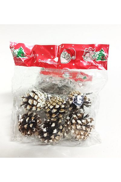 Deniz Party Store New Year's Natural Snowy Cone Tree Ornament 6 Pieces
