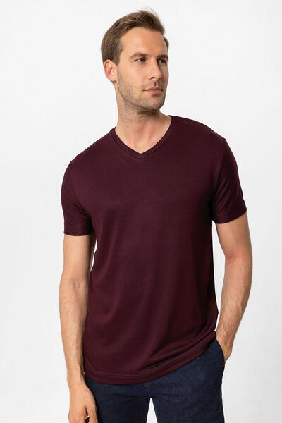 Antioch Plum Basic V-Neck Men's T-Shirt