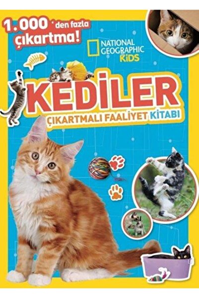 Beta Kids Yayınları Kids Kediler Çıkartmalı Faaliyet Kitabı