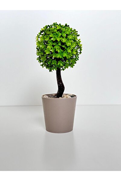 Genel Markalar Yapay Ağaç Saksılı Ağaç Okaliptus Çiçeği Papatya Yılbaşı Ağaç Sevgililer Günü Noel Yeşil