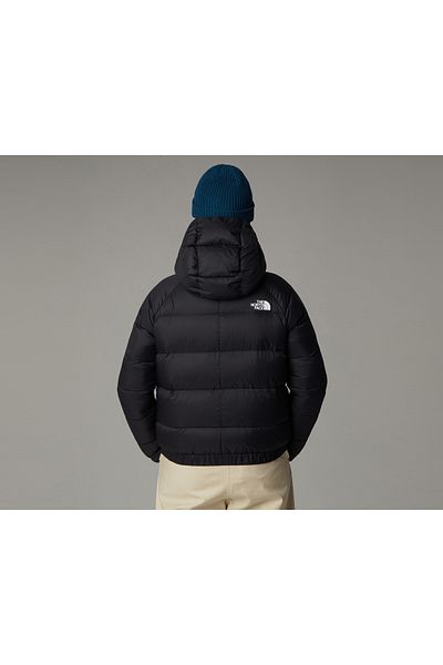 THE NORTH FACE W Hyalite down Hoodie (550 Goose Feather) Women's Winter Outdoor Coat Colorful