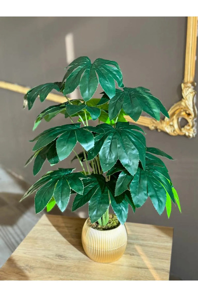 digitalavm akıllı alışveriş adresiniz GOLD SAKSILI 18 YAPRAKLI DEVE TABANI ÇİÇEK SALON ÇİÇEĞİ 70 CM