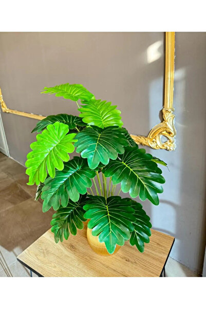 18 PETALS SYNGONIUM FLOWER SALOON FLOWER 70 CM