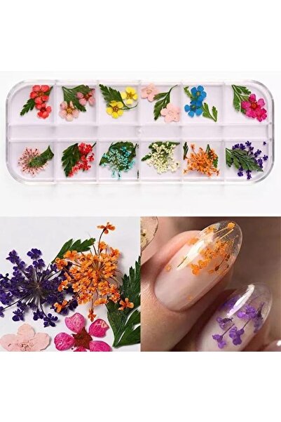 Expertyol Nail Art Kuru Çiçek Seti 12'li
