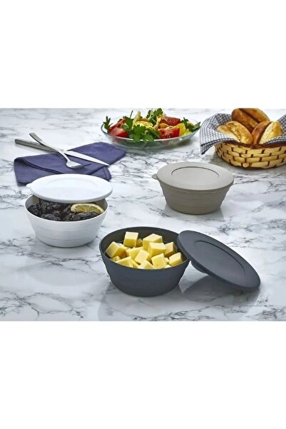 Viyalente 350 ml Breakfast Snack Bowl - 3-Piece Storage Container Kp-149