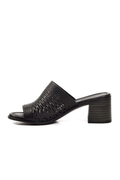 Voyager 9723 PAPUC DE PIELE DE DAME
