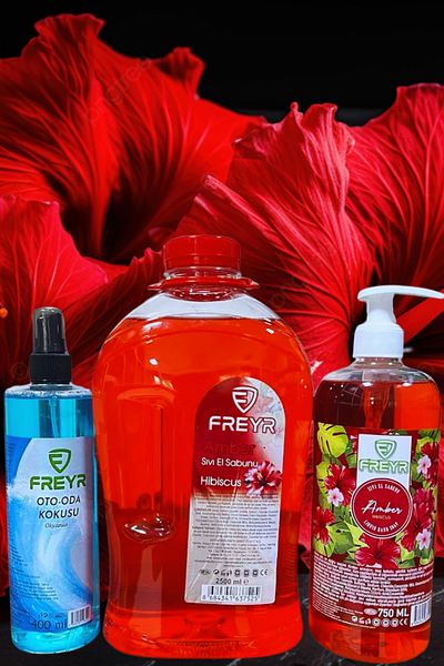 FREYR Liquid Hand Soap 2500Ml-750Ml with Moisturizer-Extra Amber Perfume-400Ml Room Fragrance