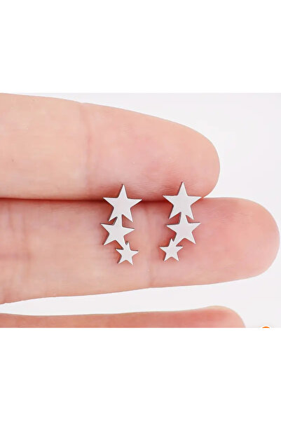 Butik Şık yıldız küpe