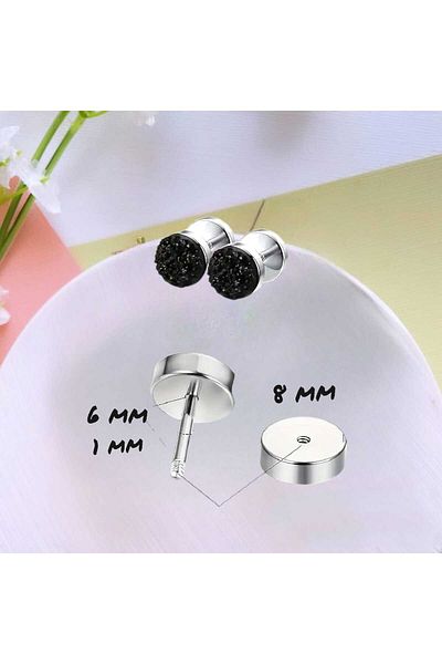 Dodemert Home Black Zircon Stone Stainless Steel Earrings