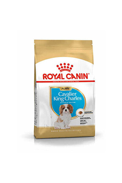 Royal Canin Cavalier King Charles Junior Yavru Köpek Maması 1,5 Kg