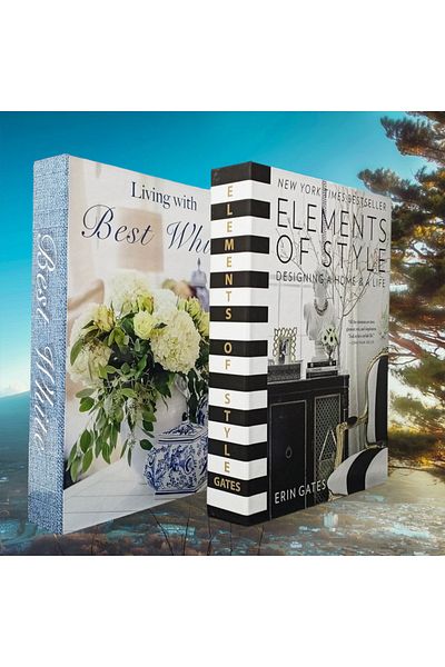 BayCazip Decorative Book Look Box Set of 2 Decorative Book Looking Box