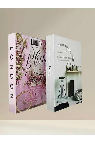 BayCazip Decorative Book Look Box Set of 2 Decorative Book Looking Box