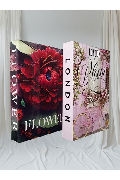BayCazip Decorative Book Look Box Set of 2 Decorative Book Looking Box