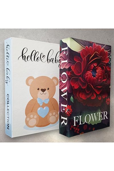 BayCazip Decorative Book Look Box Set of 2 Decorative Book Looking Box