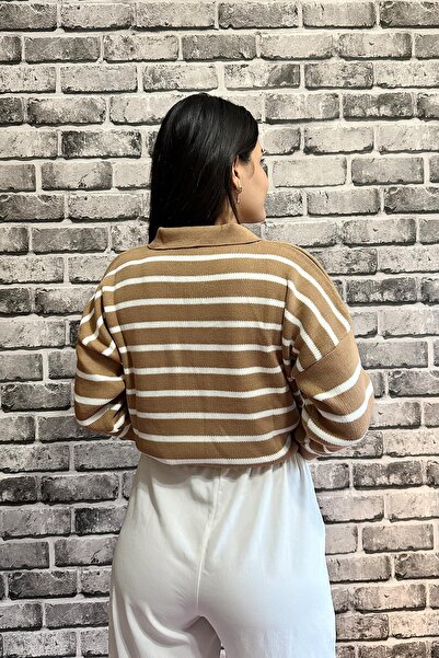 LocaMz Polo Neck Standard Size Women's Sweater