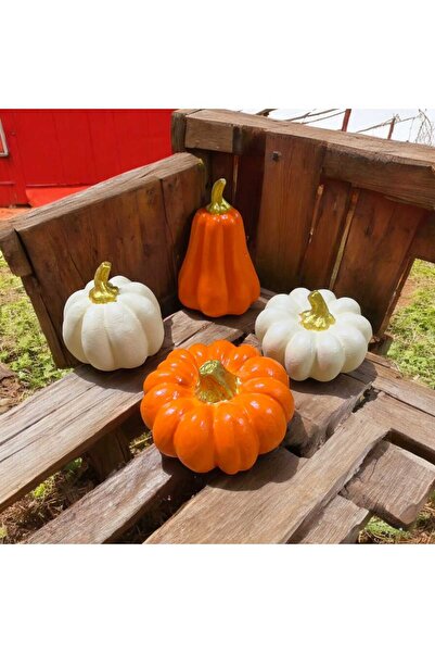 lady desing Dekoratif 4 lü kabak biblo