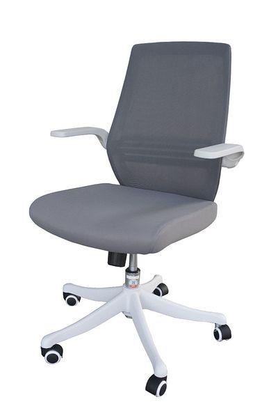 Mahmayi SIHOO Ergonomic Office Chair, Mesh Back, Lumbar Support, 90° Flip-up Armrests, Grey