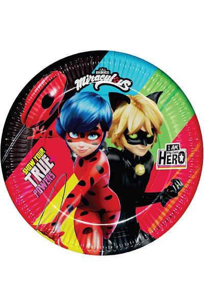 Kikajoy 16 Person Black Cat and Ladybug Miraculous Birthday Ornaments Party Supplies