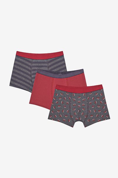 Penti Boy's Fun Fox 3-Piece Multicolored Boxers