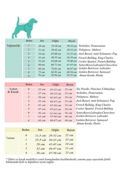 Alphadog Awesome Grey-Beige Medium-Large Breed Dog T-Shirt
