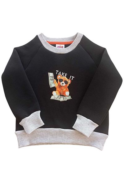 Ropi 100% Cotton Teddy Bear Printed 3 Thread Raised Fleece