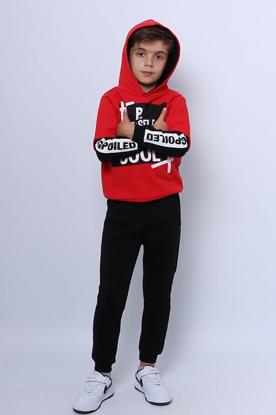 HÇM Boy's Tracksuit Set - 3 Thread, Printed, Hoodie, D32