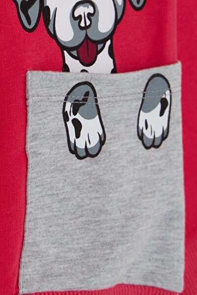 Breeze Φούτερ για κορίτσια με στάμπα σκύλου 2-6 ετών, φούξια