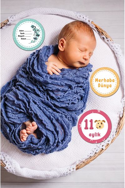 kutuTR Colorful Printed Monthly Baby and Pregnant Card - 15 Card Set
