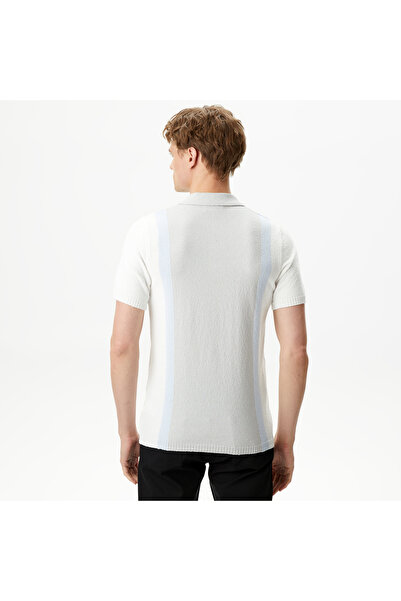 Lacoste Erkek Regular Fit Kısa Kollu Gömlek Yaka Gri Triko