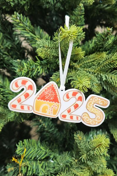 PEKSHOP Candy Cane 2025 Ginger House Cookie Home Theme Christmas Tree Ornament