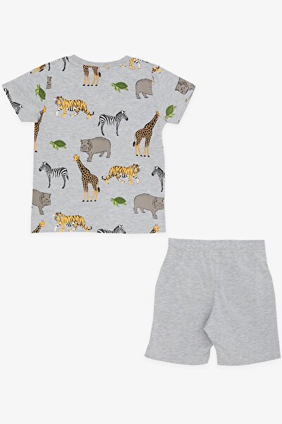 Breeze Boy's Shorts Set Printed 2-6 Years, Gray Melange