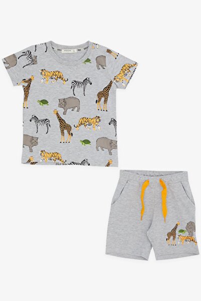 Breeze Boy's Shorts Set Printed 2-6 Years, Gray Melange