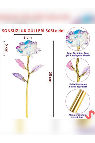 rkm store Sonsuzluk Gülü Hediyelik Gül Ev Dekor  Sevgiliye Hediye Anneler Günü Hediyesi Solmayan Gül